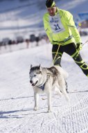 Lenk 2013